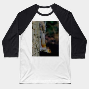 GONE NUTS FOR SQUIRREL YOGA ! Baseball T-Shirt